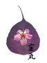 Reiki for Mother Baby logo